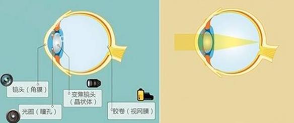 怎么佩戴老花鏡？驗光 品牌 質(zhì)量 保養一個(gè)都不能少