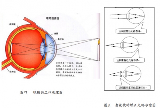 美麗島眼鏡：老花鏡不可隨意亂帶，需要在專(zhuān)業(yè)驗光后科學(xué)配制
